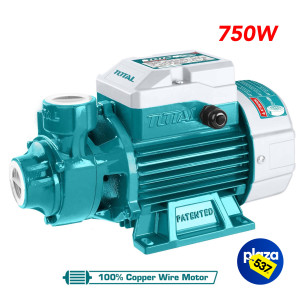 Water Pump TWP17506 750W